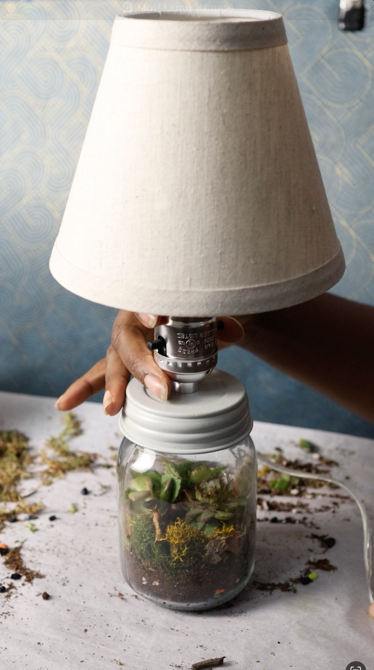 Mori Lamp Terrarium Workshops Milwaukee