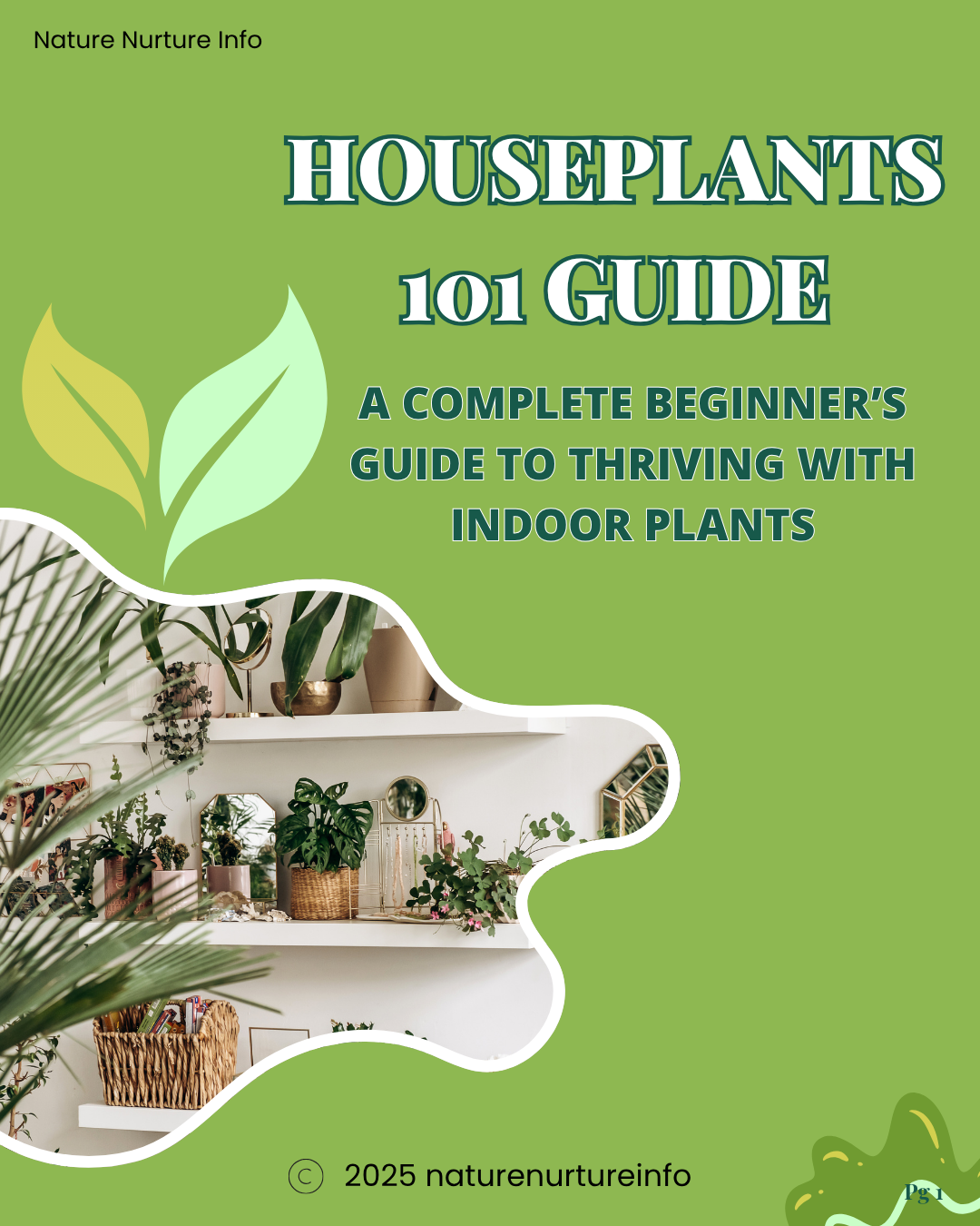 Houseplants 101: A Beginner's Guide