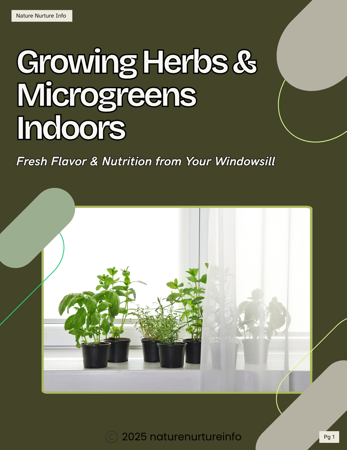 Grow at Home: The Indoor Plant Starter Pack