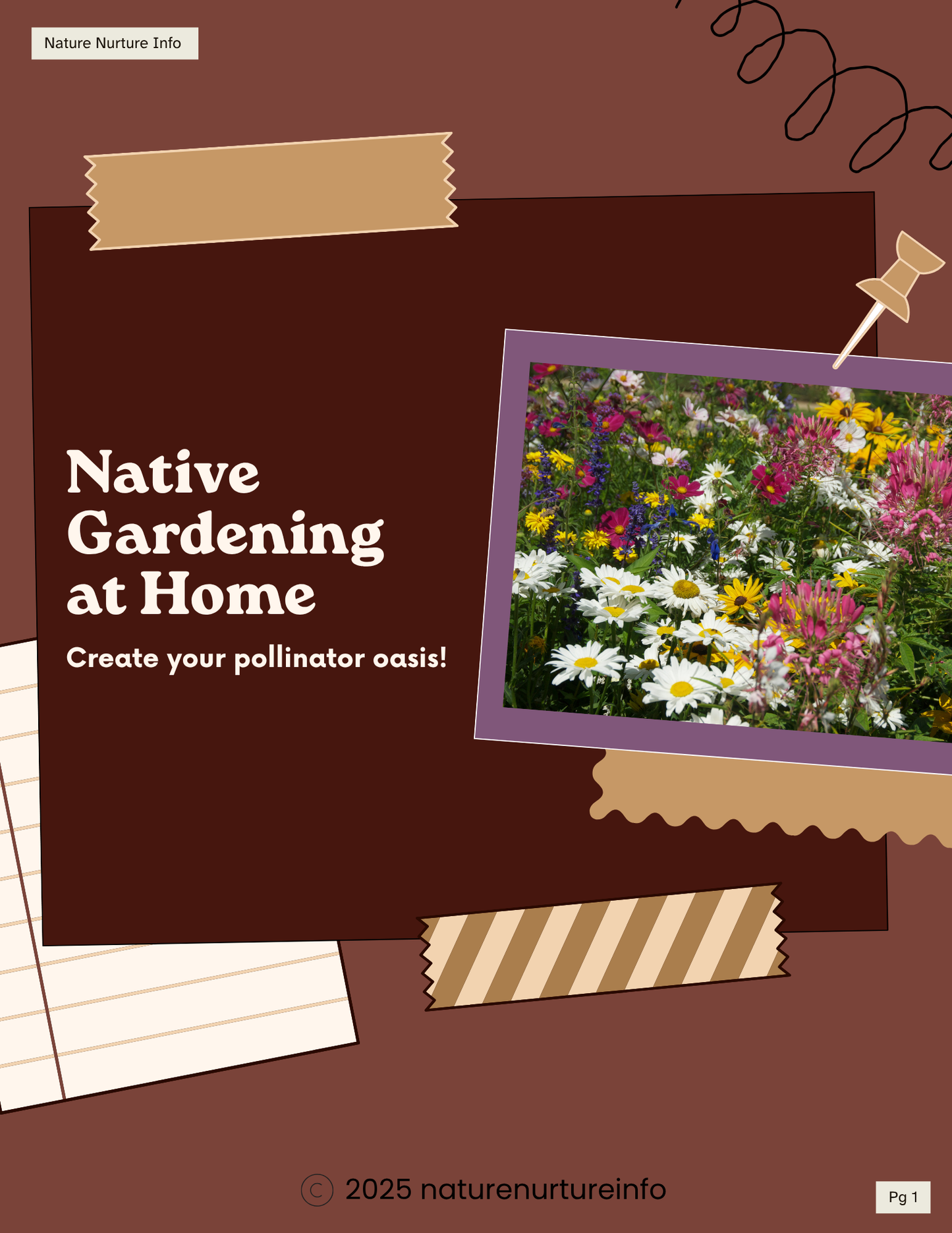 Native Gardening at Home