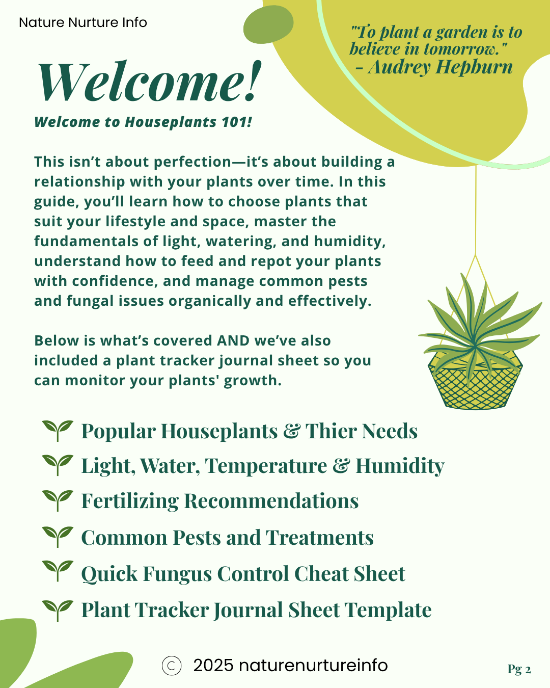 Houseplants 101: A Beginner's Guide