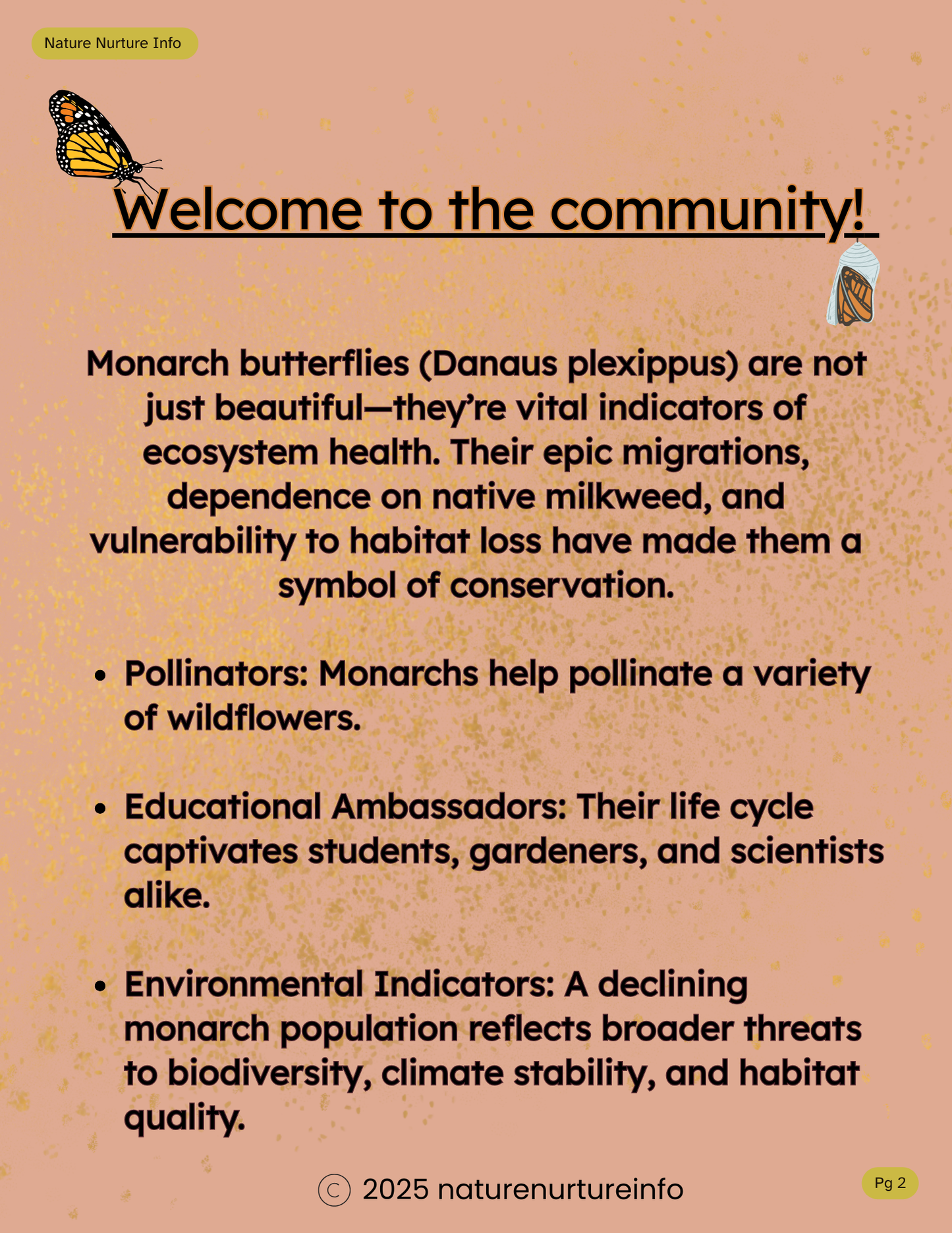 From Milkweed to Migration: Build Your Own Monarch Sanctuary