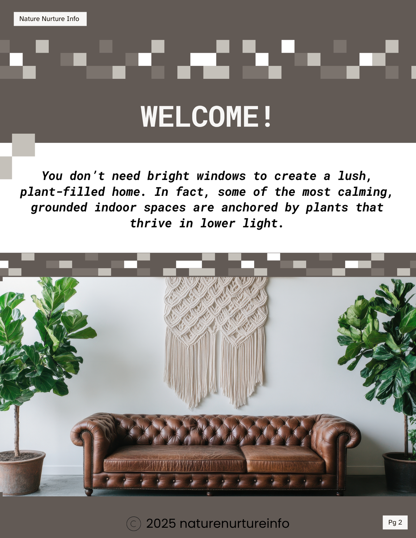 Low Light Plant Styling & Aesthetics
