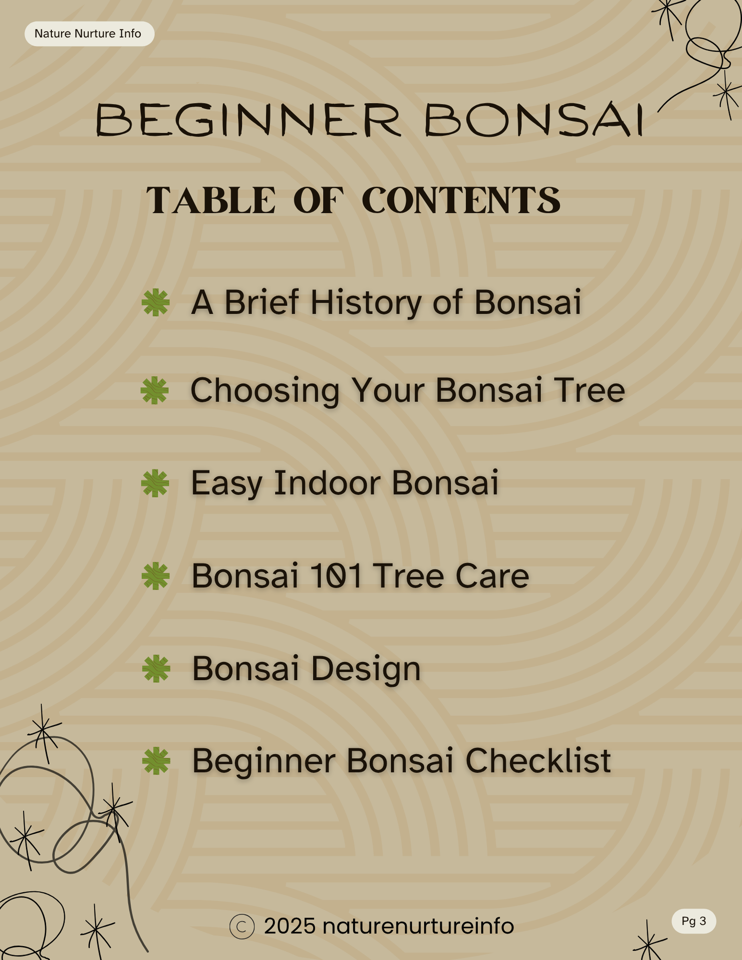 Beginner Bonsai: Your First Tree from Start to Styled