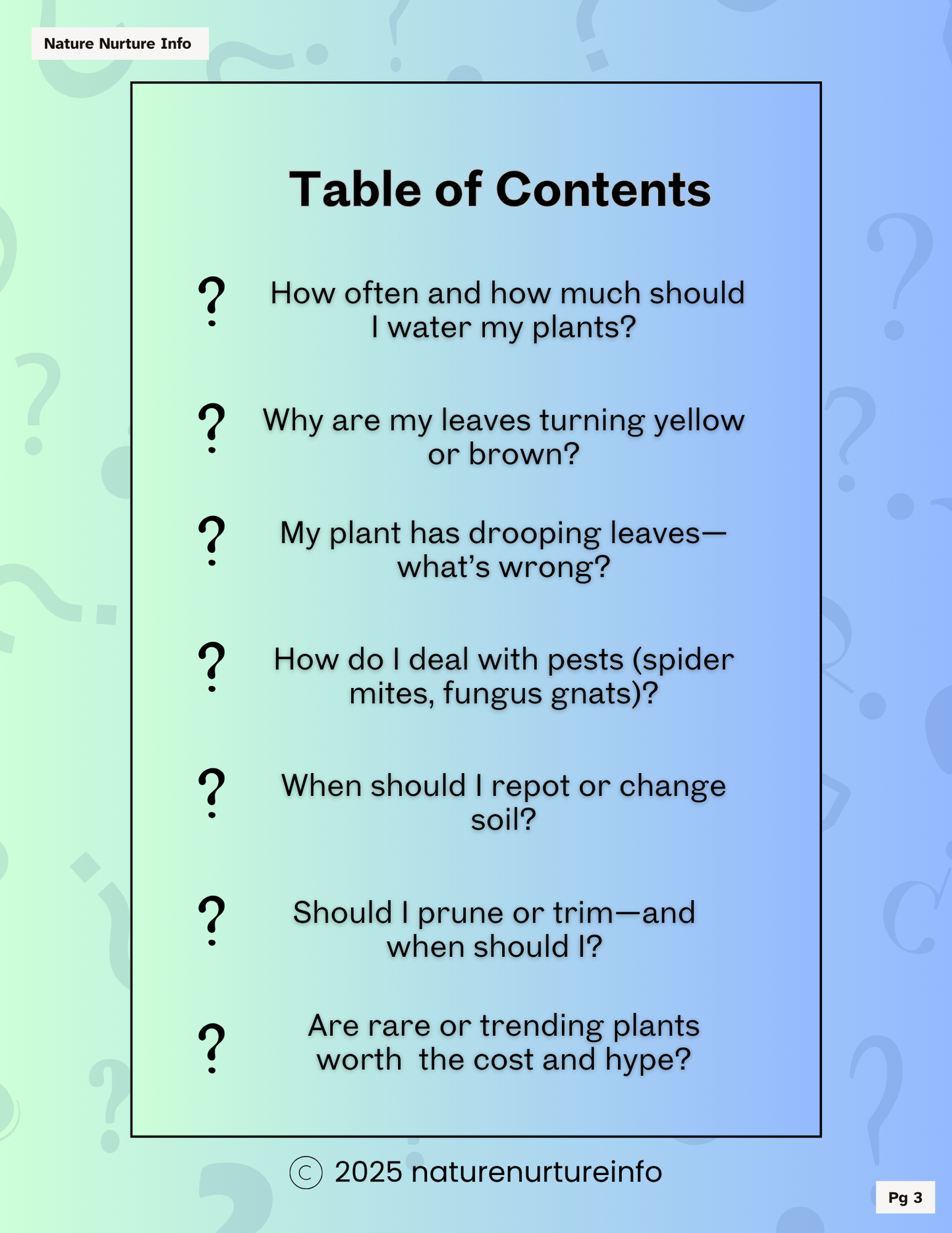 Plant Triage: Questions Every Plant Parent Asks