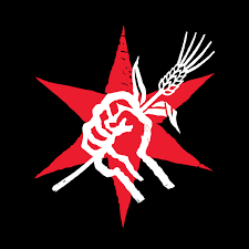 12/11/25 Beginner Bonsai 101 @ Revolution Brewing Taproom-Chicago