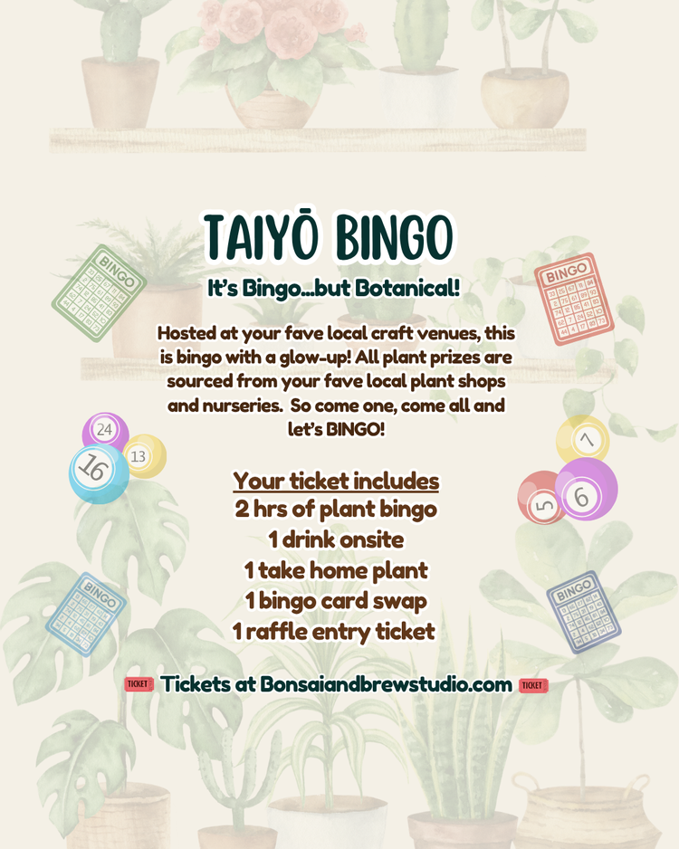 Taiyō Bingo Chicago
