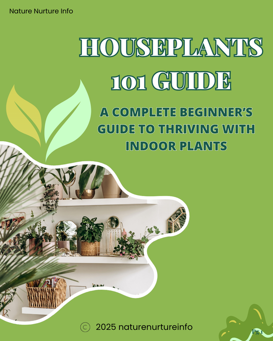 Houseplants 101: A Beginner's Guide
