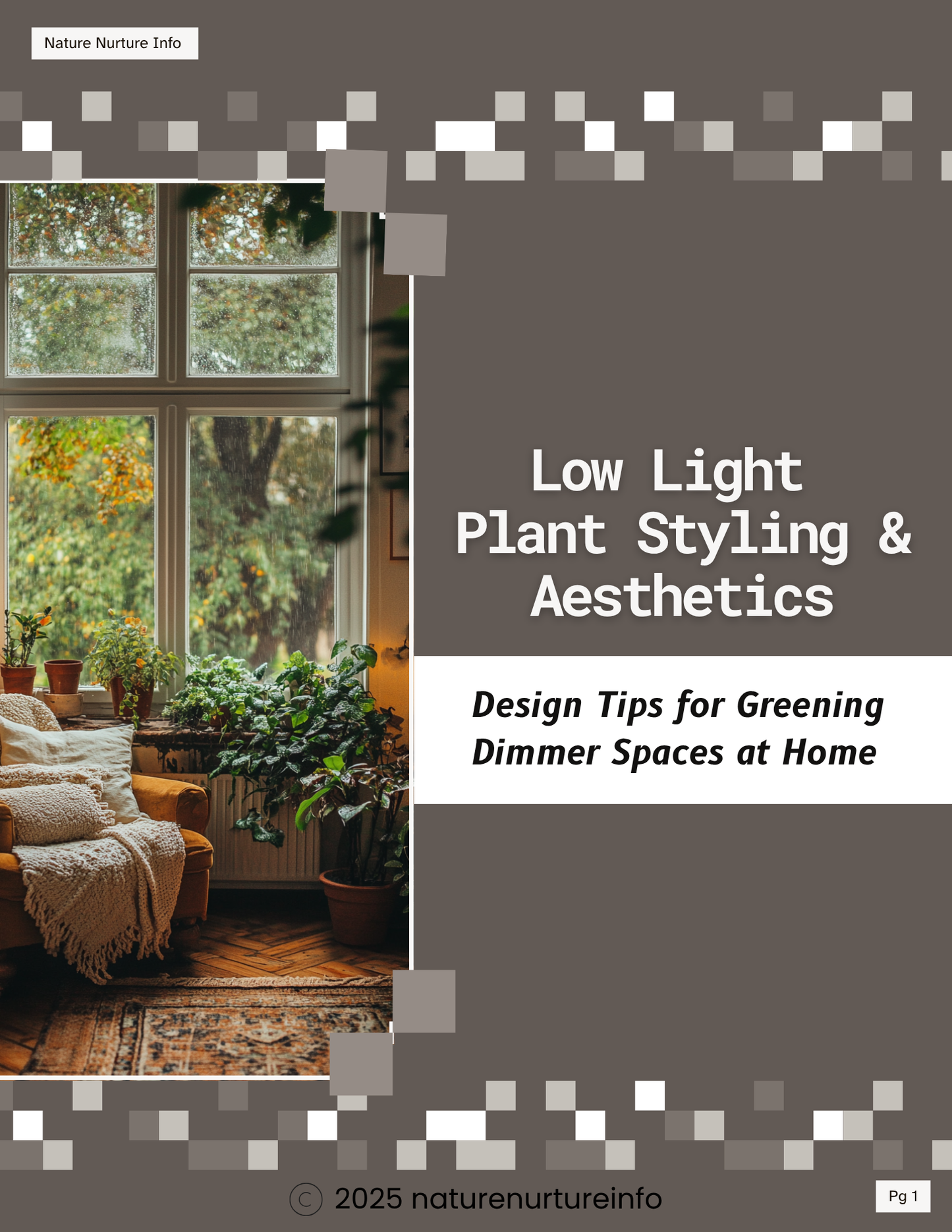 Low Light Plant Styling & Aesthetics