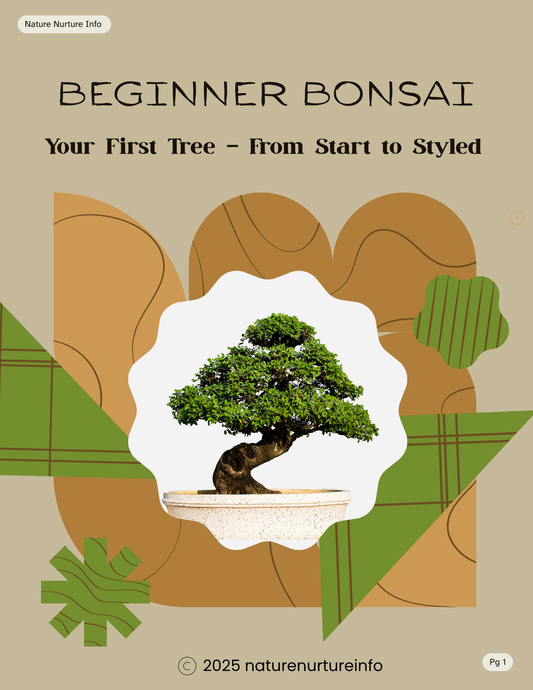 Beginner Bonsai: Your First Tree from Start to Styled