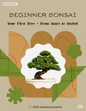 Beginner Bonsai: Your First Tree from Start to Styled