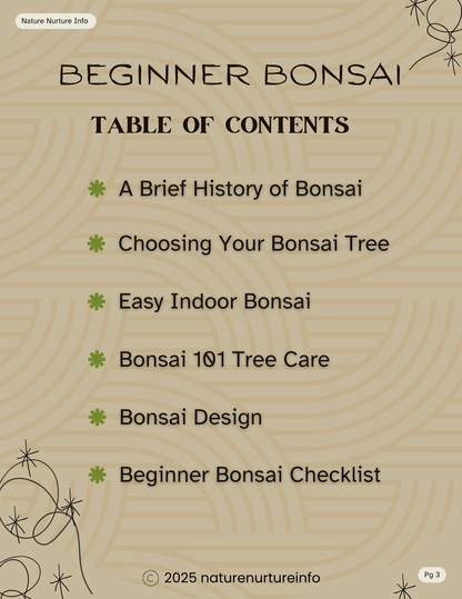 Beginner Bonsai: Your First Tree from Start to Styled