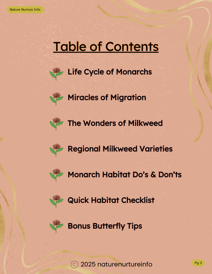 From Milkweed to Migration: Build Your Own Monarch Sanctuary