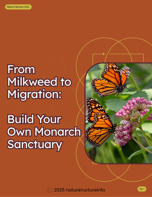 From Milkweed to Migration: Build Your Own Monarch Sanctuary