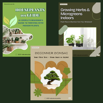 Grow at Home: The Indoor Plant Starter Pack