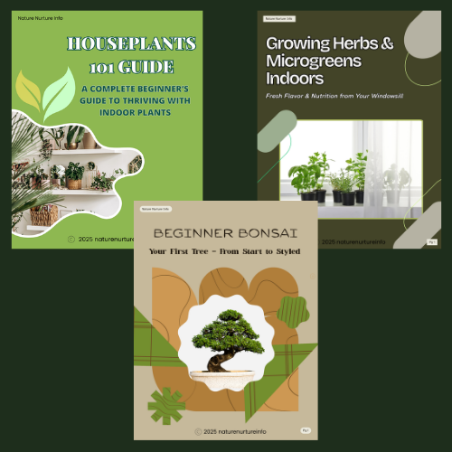 Grow at Home: The Indoor Plant Starter Pack