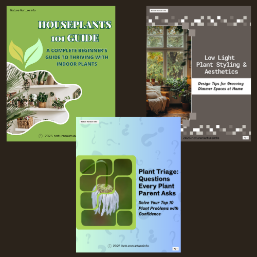 Thriving Indoors: The Houseplant Confidence Bundle